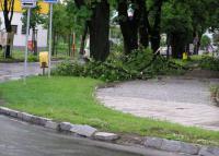 U gymnázia