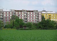 Novosady