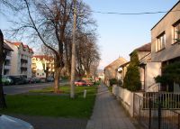 Ulice Novosady