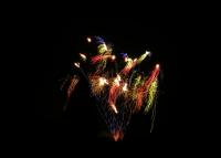 080DSCN5244