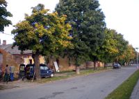 8. října 2010