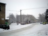 Novosady
