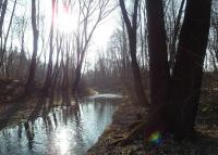 0651_holesov_zahradky_po