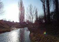0659_holesov_brod_po