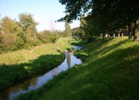 0662_holesov