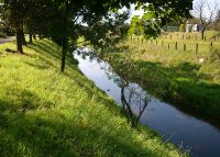 0663_holesov_po