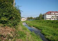 0677_holesov_novosady
