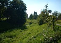 0678_holesov_novosady_po
