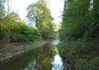 0684_vsetuly_dukelska