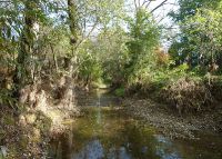 0774_vsetuly_zahradky