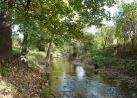 0776_vsetuly_zahradky