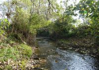 0778_vsetuly_zahradky