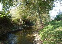 0779_vsetuly_zahradky_po
