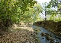 0780_vsetuly_zahradky