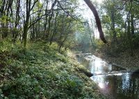 0784_vsetuly_za_cukrovarem