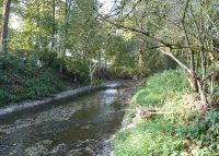 0787_vsetuly_za_cukrovarem_po