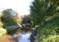 0795_vsetuly_splav
