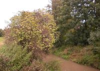 0798_vsetuly
