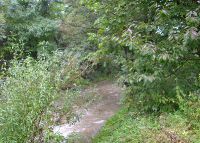 0802_vsetuly_COV_po