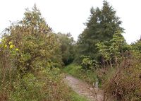 0804_vsetuly_COV