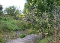 0805_vsetuly_COV_po