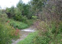 0807_vsetuly_COV_po