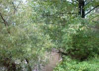 0810_vsetuly_COV_po