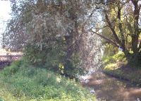 0887_hulin