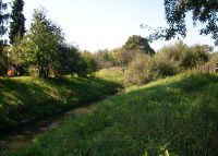 0893_hulin_po