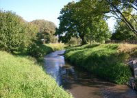 0894_hulin