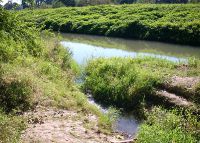 0923_hulin_zabinek