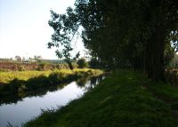 0933_hulin_po
