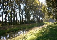 0936_hulin_po