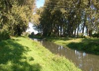 0937_hulin