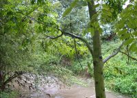 0811_kolicin_vsetuly