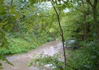 0812_kolicin_vsetuly_po