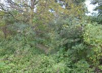 0813_kolicin_vsetuly