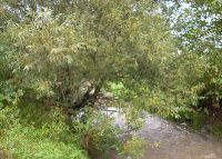 0815_kolicin_vsetuly