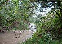 0816_kolicin_vsetuly_po