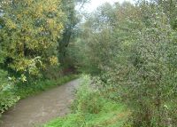 0818_kolicin_vsetuly_po