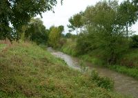 0825_kolicin