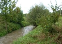 0826_kolicin_po