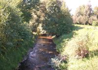 0828_kolicin_most_po