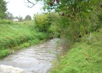 0829_kolicin_JZD