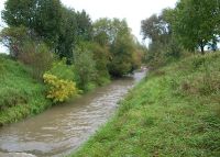 0831_kolicin