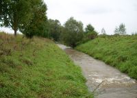 0832_kolicin_po