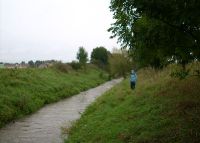 0833_kolicin