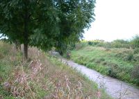 0834_kolicin_po
