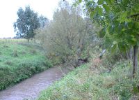 0835_kolicin