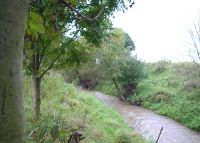0836_kolicin_po